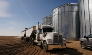 China Drops Some Agricultural Tariffs on Canada, but Not on Canola Seeds