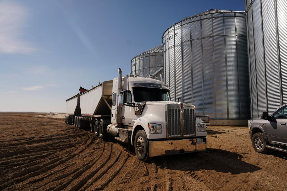 China Drops Some Agricultural Tariffs on Canada, but Not on Canola Seeds