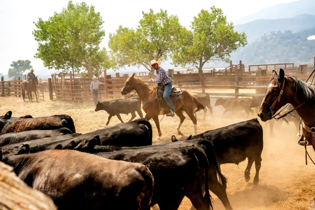 SBA, USDA to Combat ‘Regulatory Abuse’ Lawfare Aimed at Farmers and Ranchers