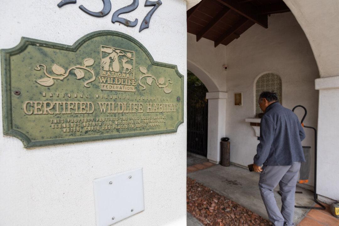 Los Angeles ‘Eco Home’ Shines Light on New Ways to Build