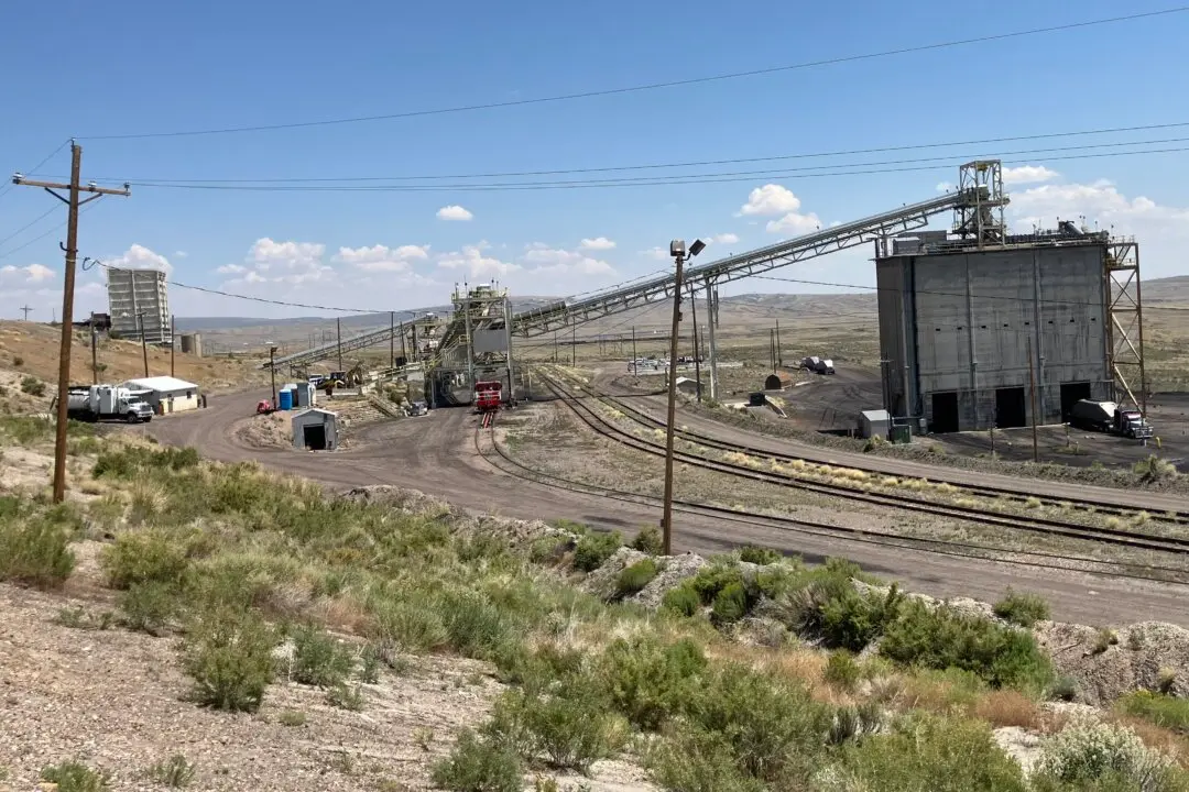 Eyes on the Prize: US Nuclear Industry Chief Excited About Breakthroughs on the Horizon