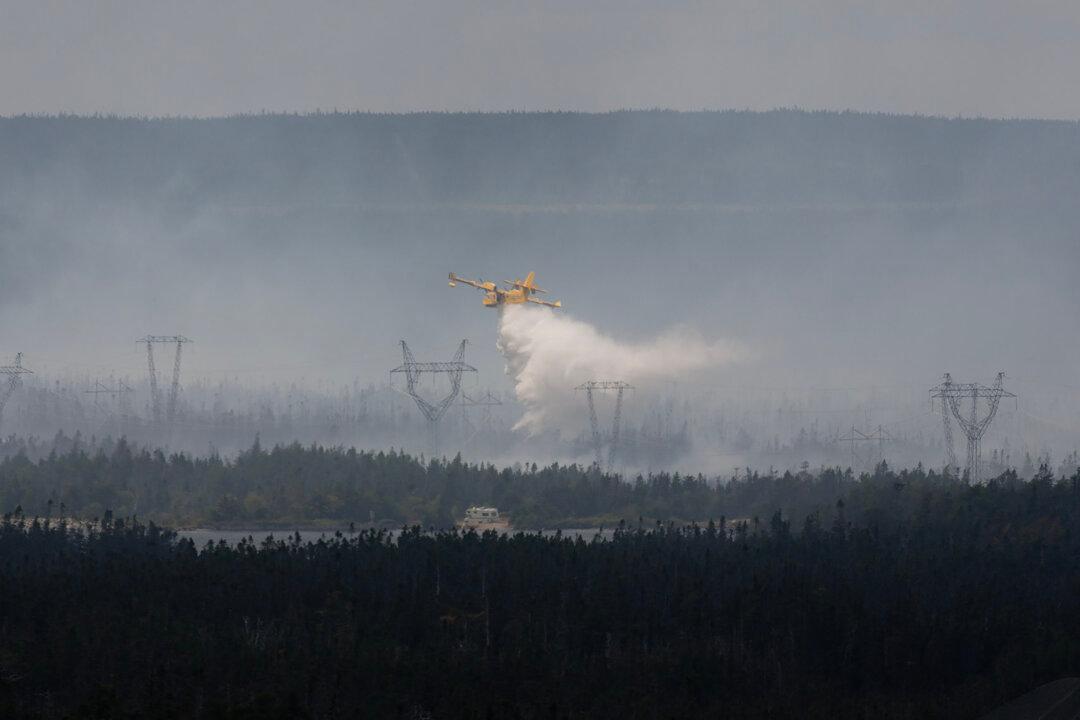 Ottawa Braces for 2026 Wildfire Season by Leasing 10 New Firefighting Aircraft