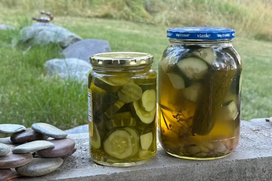 The Infinite Pickle Glitch