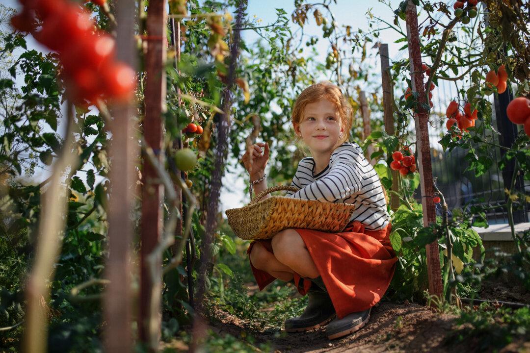 Little Green Thumbs: Introducing Kids to Gardening