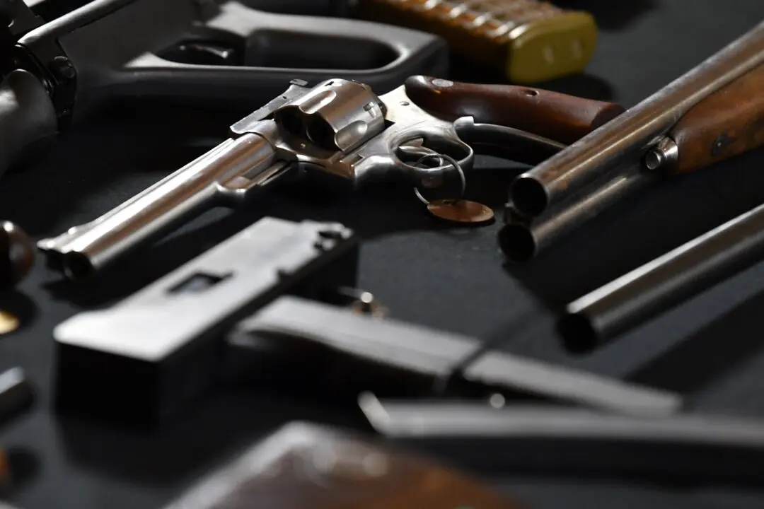 National Gun Buyback Plan Stalls After Deadline Expires