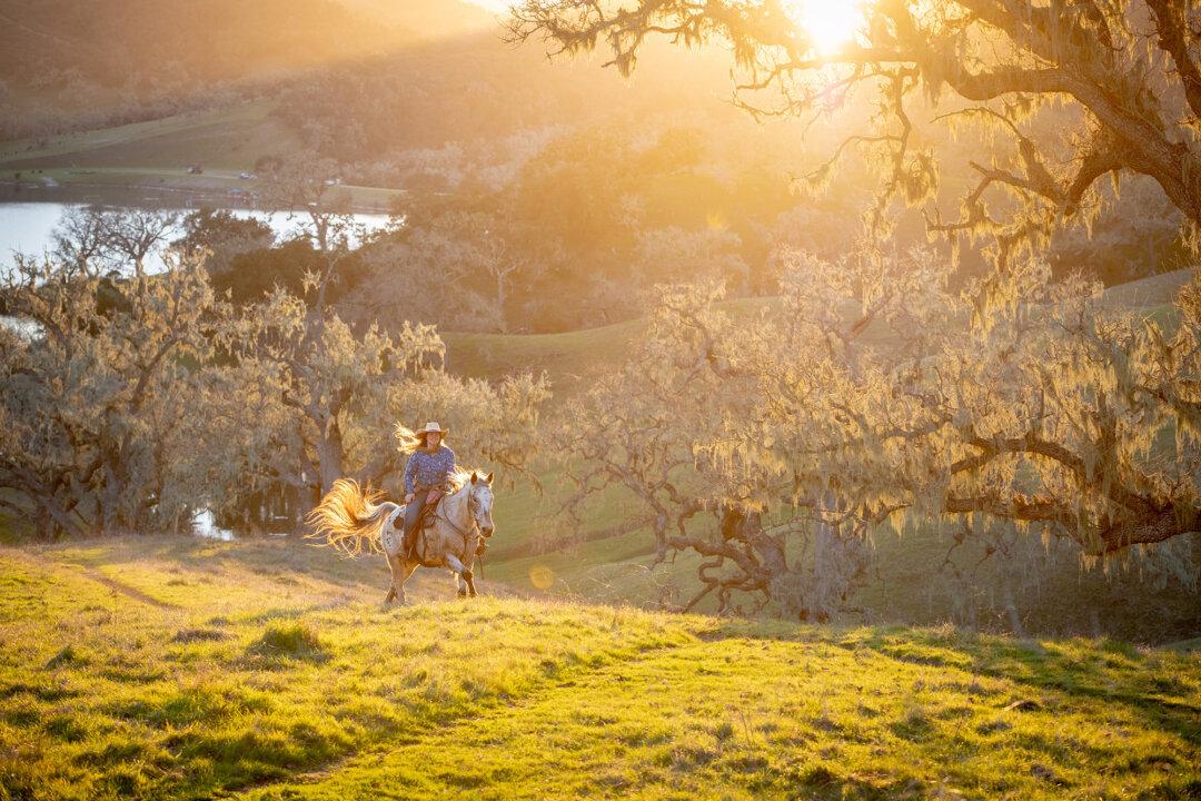 11 Dude Ranches for a Western-Inspired Getaway