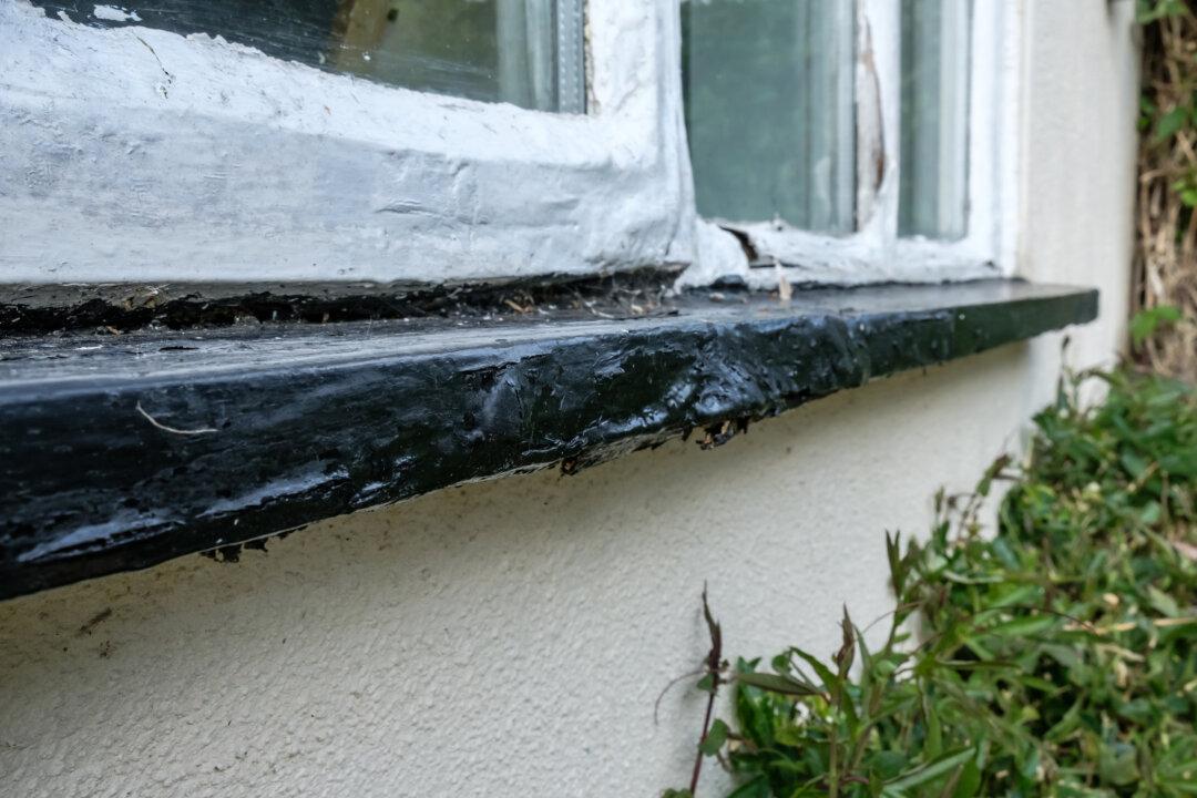 Repair a Rotten Windowsill