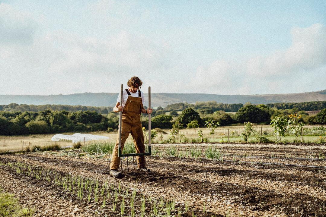 Stop Asking How to Make Regenerative Food Cheap