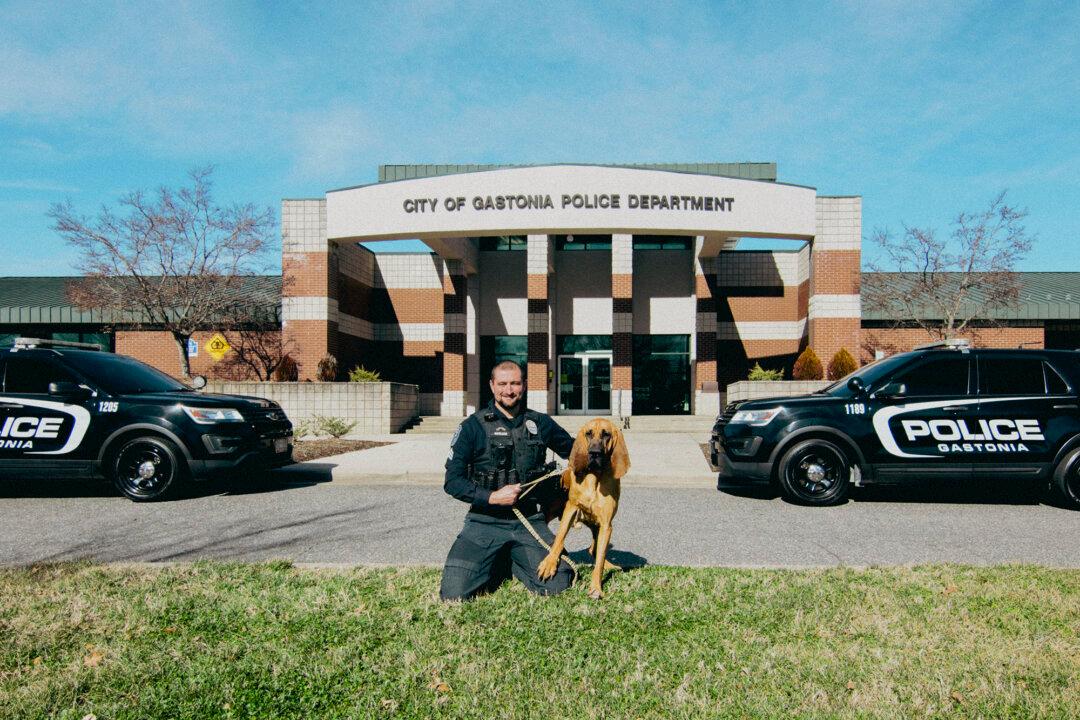 Meet the Adorable K-9 Bloodhound Dubbed America’s Hero Dog