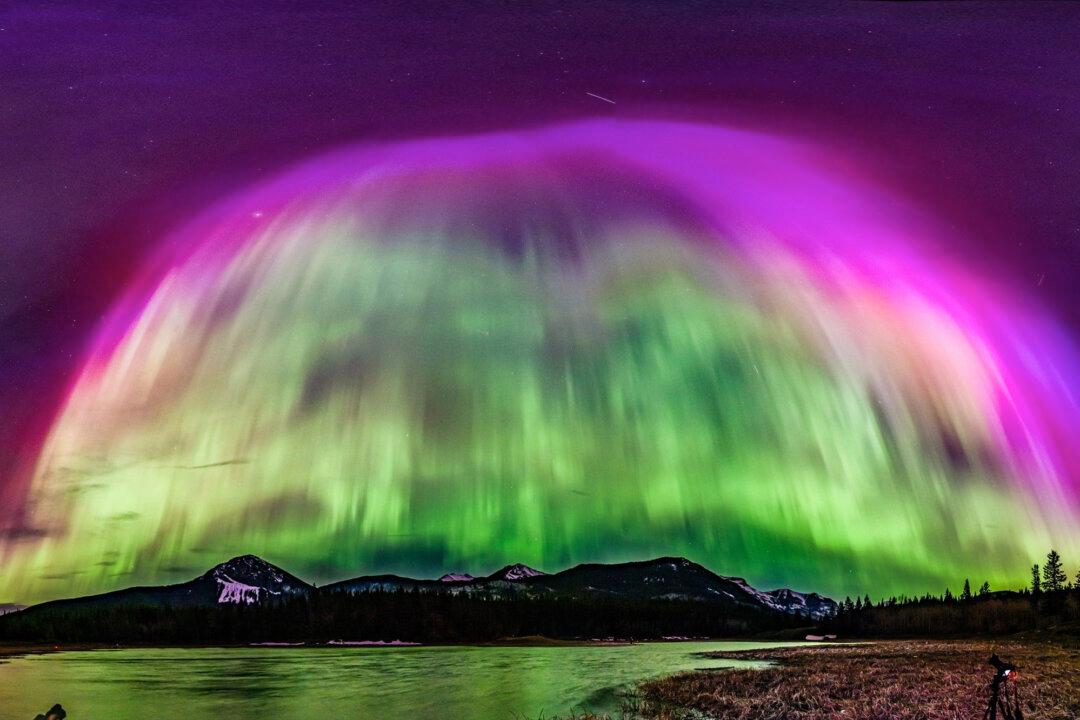 ‘It Was 360 Degrees’: Calgary Photographer Captures Auroras in All Directions as Solar Storms Herald ‘Pole Excursion’