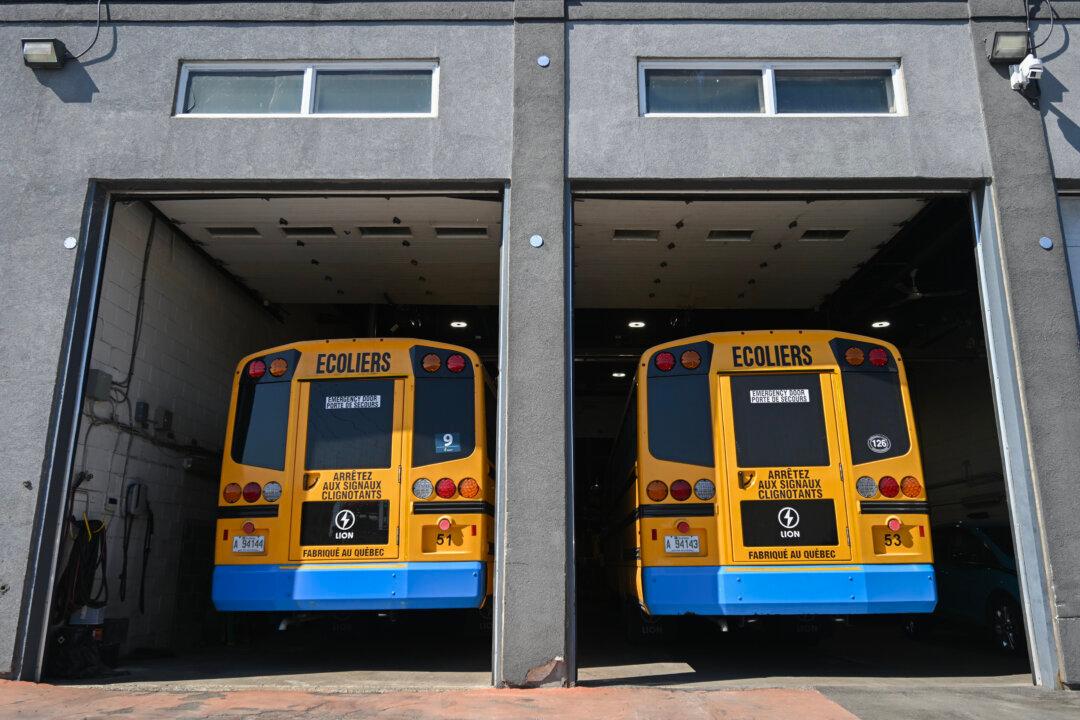 Many School Bus Routes Still Cancelled in Quebec Because of Lion Inspections