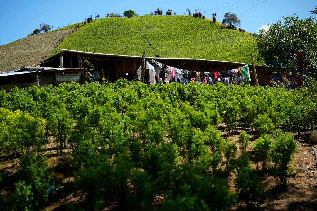 US Adds Colombia to List of Countries Failing to Combat Drug Trafficking