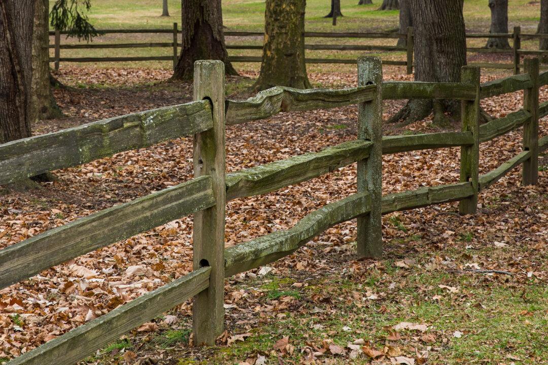Tips for Adding a Rail Fence