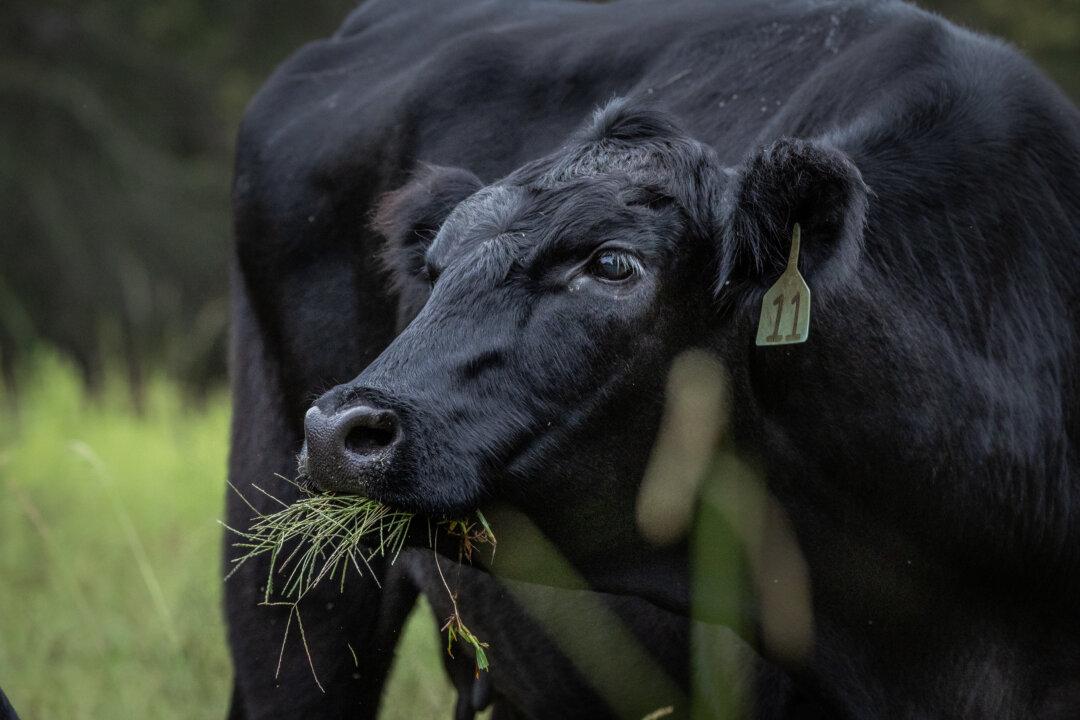 USDA, HHS Promote ‘Product of USA’ Labeling for American Farmers, Ranchers