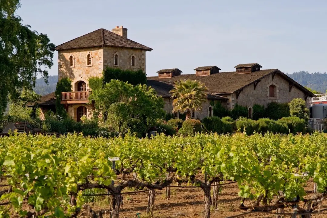 Discover Good Wines Wherever You Are