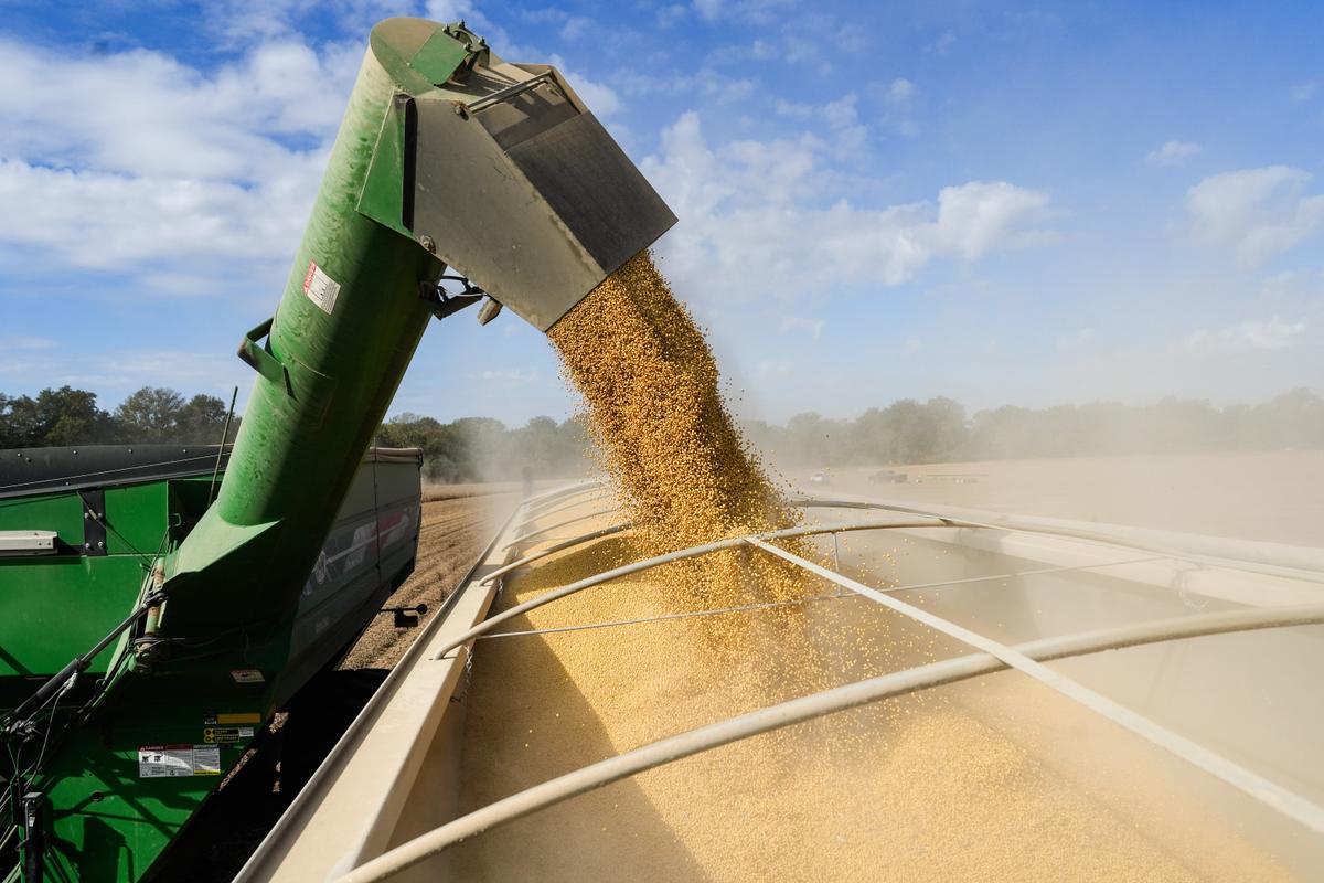 White House to Unveil $12 Billion Farm Aid Program thumbnail