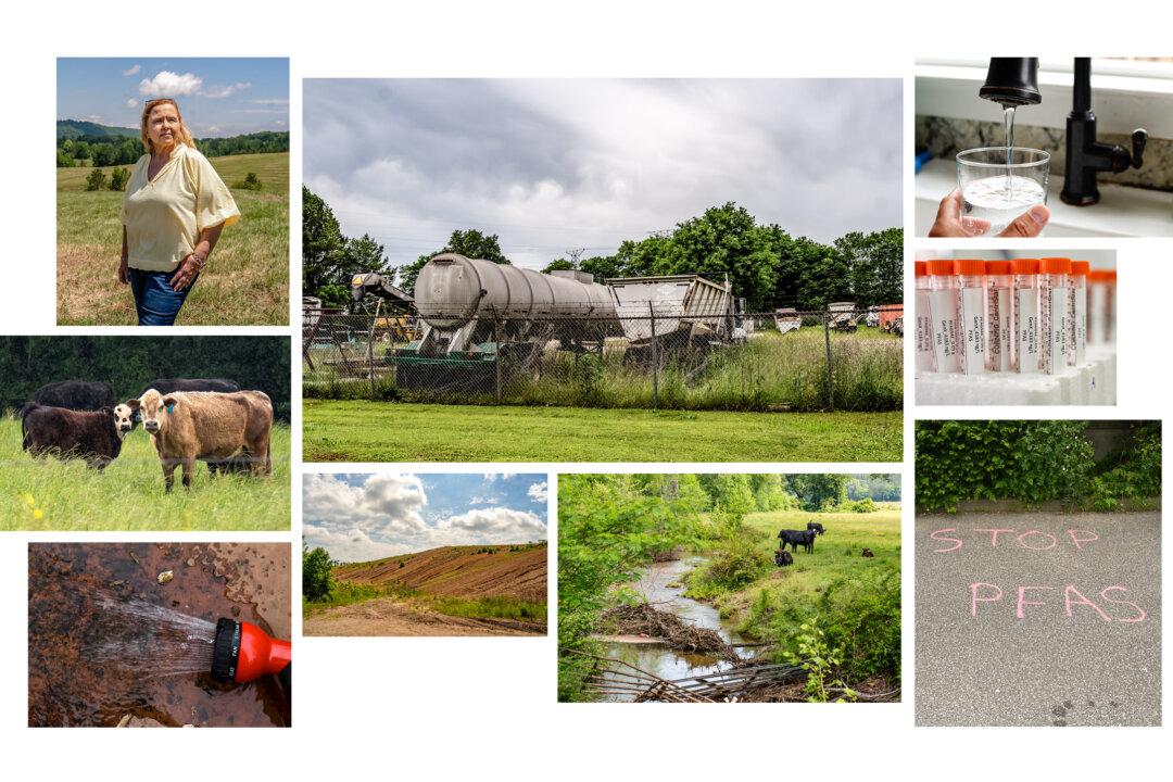 States Go It Alone on ‘Forever Chemicals’ as EPA Delays Federal Action