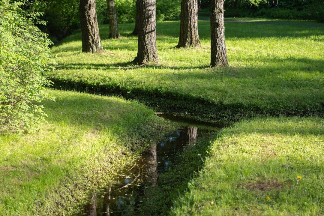 Be Sure Building Lot Has Adequate Drainage