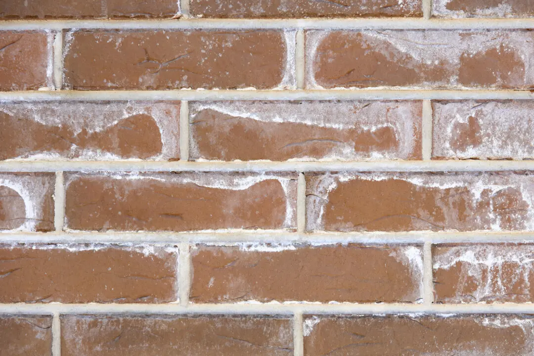 Cure Brick Efflorescence