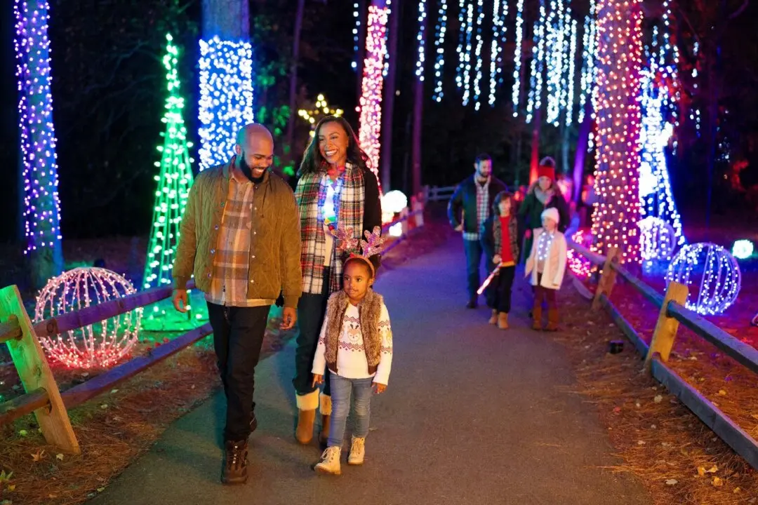 Holiday Dazzle: Resorts Delight With Christmas Lights and Entertainment