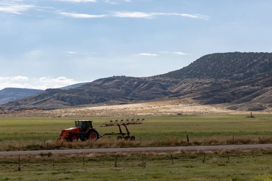 Here’s What Farmers Can Expect to Receive in Payments From Trump’s Aid Package
