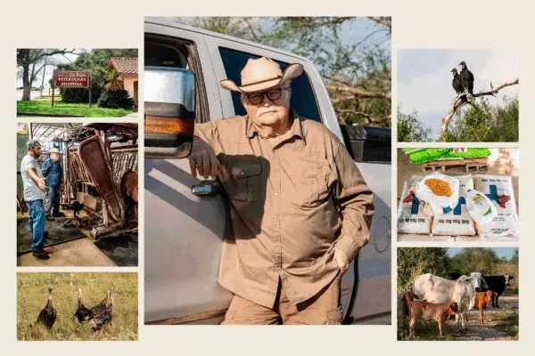 New Threat at Border as Ranchers Prepare for Flesh-eating Worm Outbreak