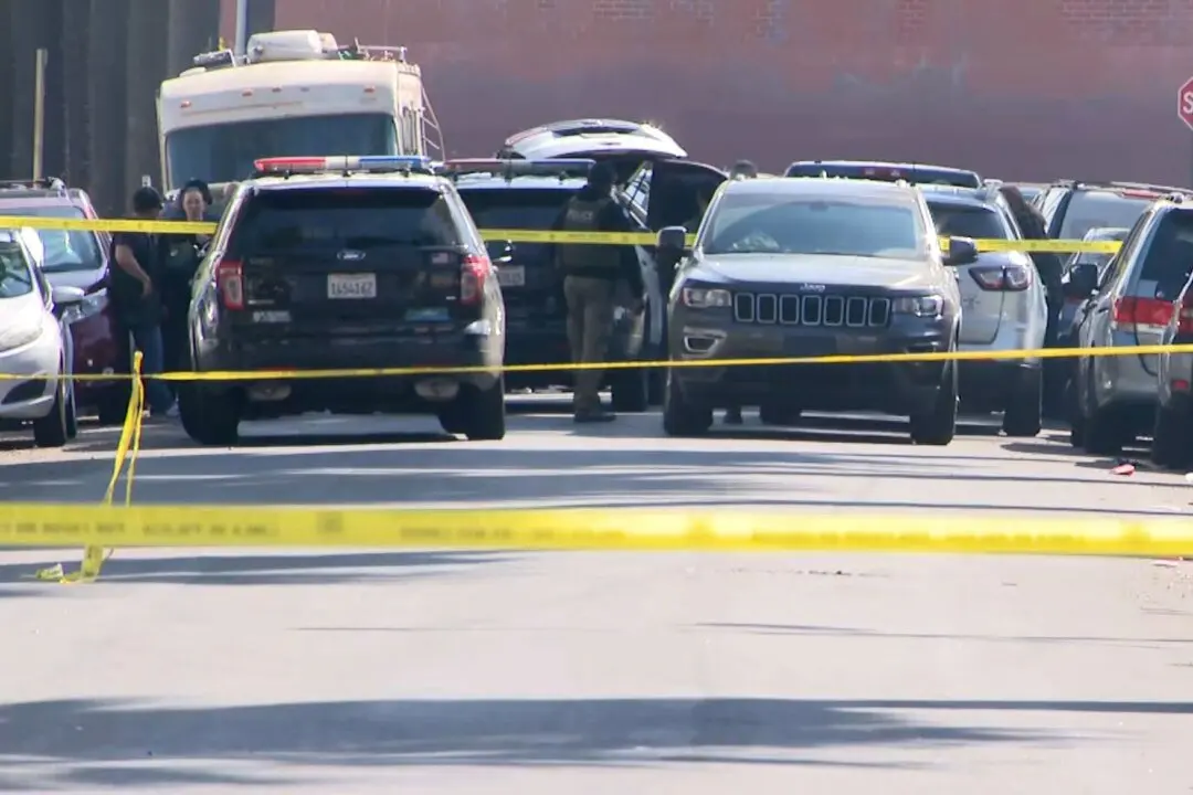 Illegal Immigrant in Custody Following LA Car-Ramming Incident With Federal Agents