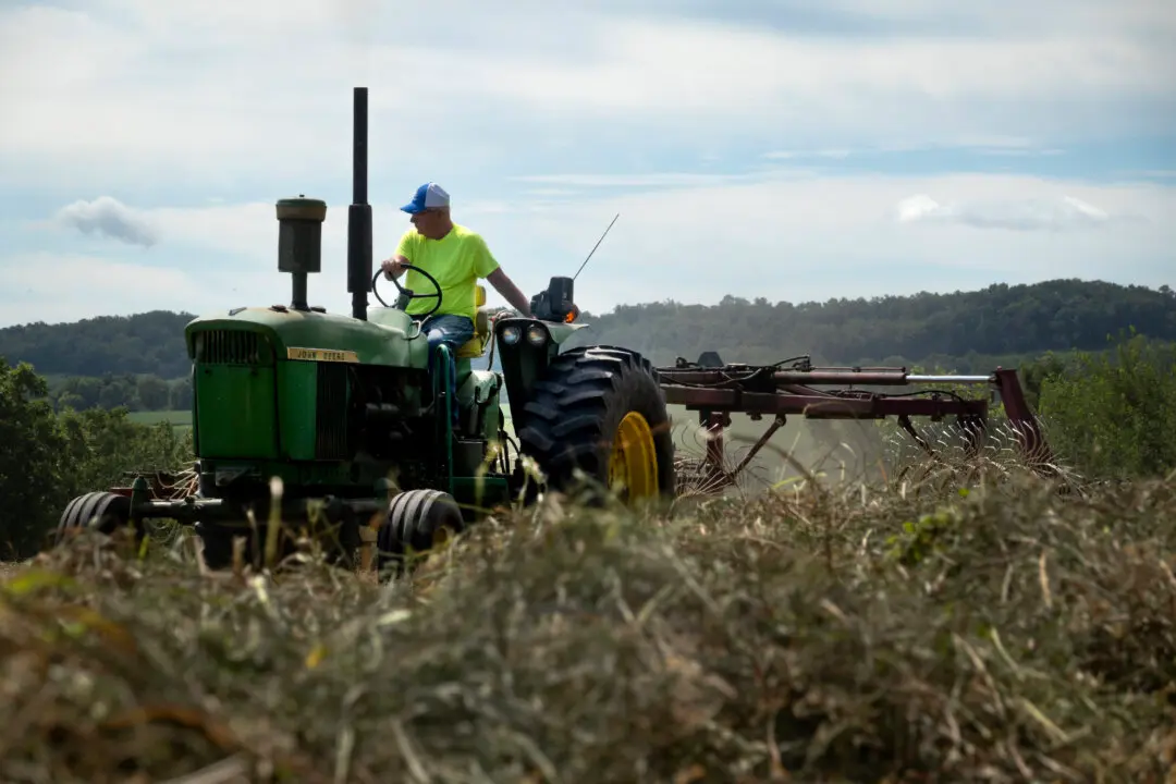 USDA to Resume Farmer Aid Distribution Frozen by Government Shutdown