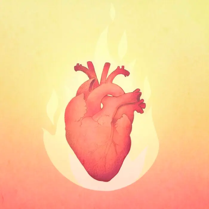 Heart: The Monarch Organ That Governs Joy–Ways to Nourish It