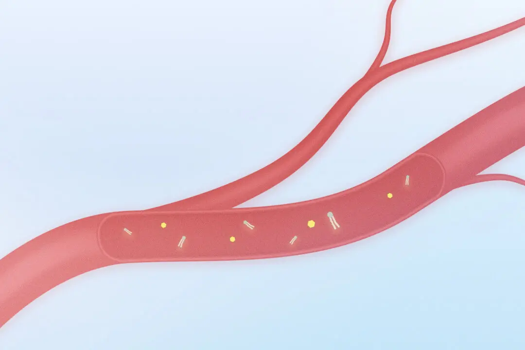 If You’re Always Tired, Your Blood–and Diet–Might Be to Blame