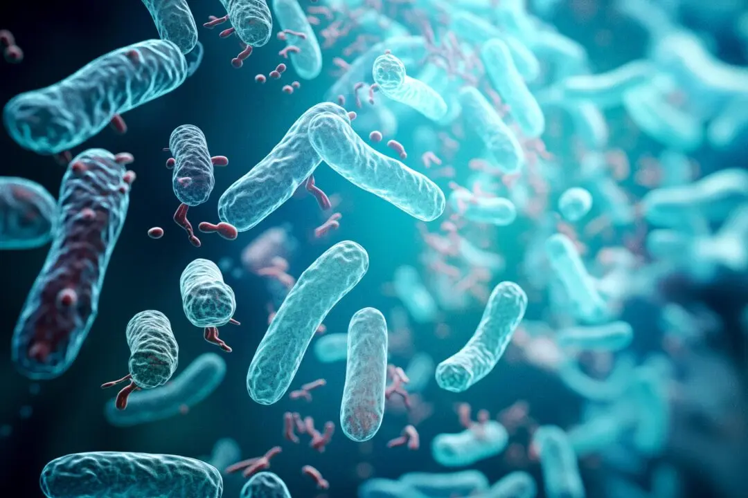 How Gut Microbes Drive Cancer Risk–and What You Can Do to Restore Balance