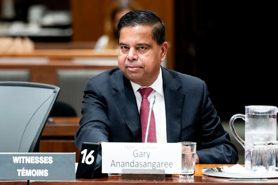 No Date Yet for When Foreign Interference Watchdog Will Be Hired, Public Safety Minister Says