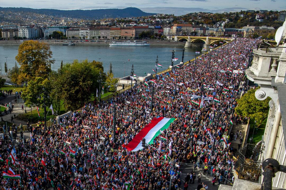 Day in Photos: Peace March in Budapest, Austria-Italy Rail Tunnel, Jacaranda Trees in Australia