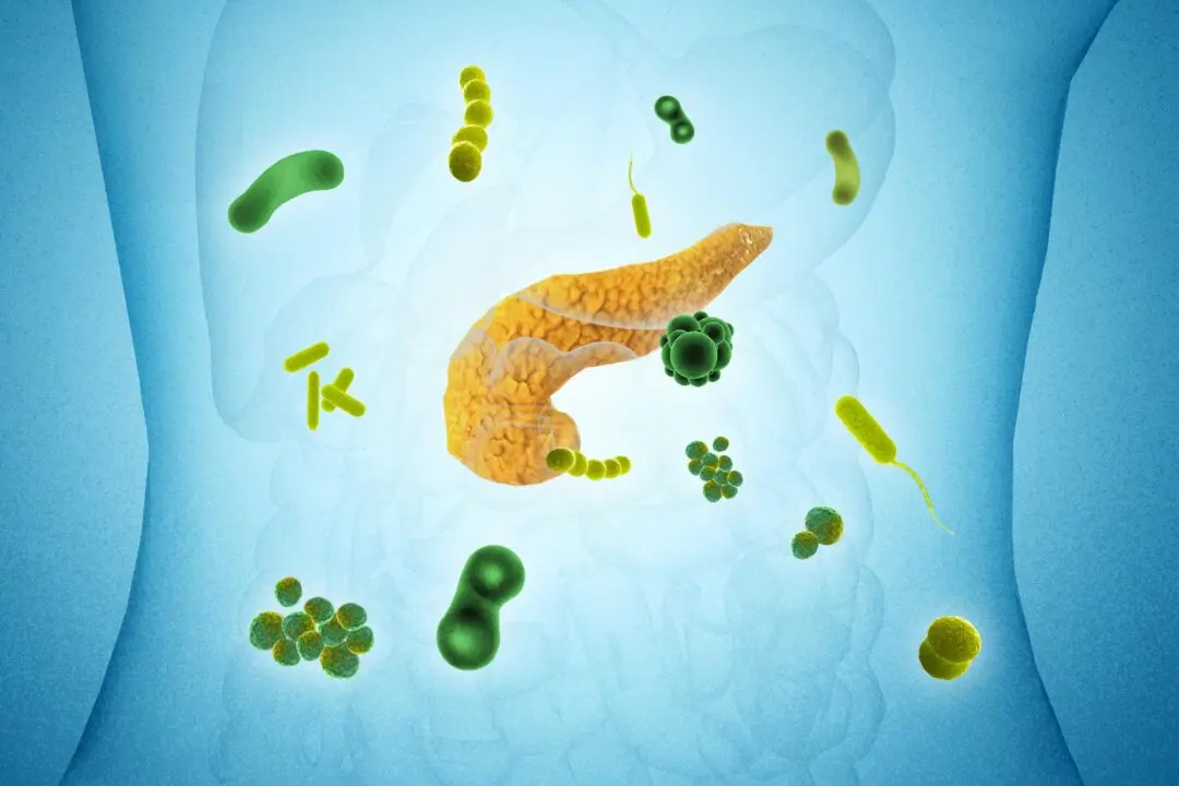 27 Microbes Linked to Pancreatic Cancer, Major Study Finds