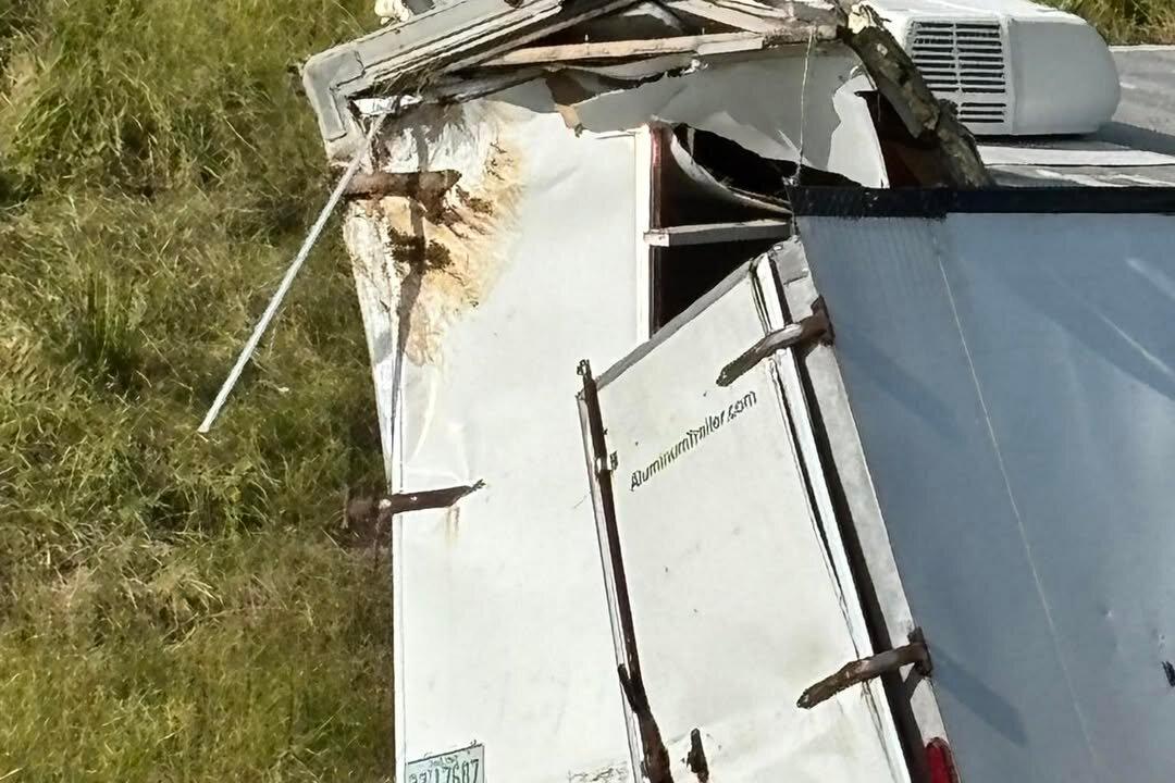 Truck Hauling COVID, Herpes-Infected Monkeys Overturns