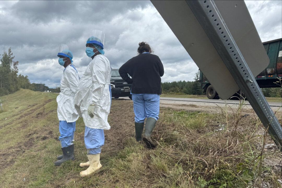 3 Monkeys Still on the Loose After Truck Overturns on Mississippi Highway