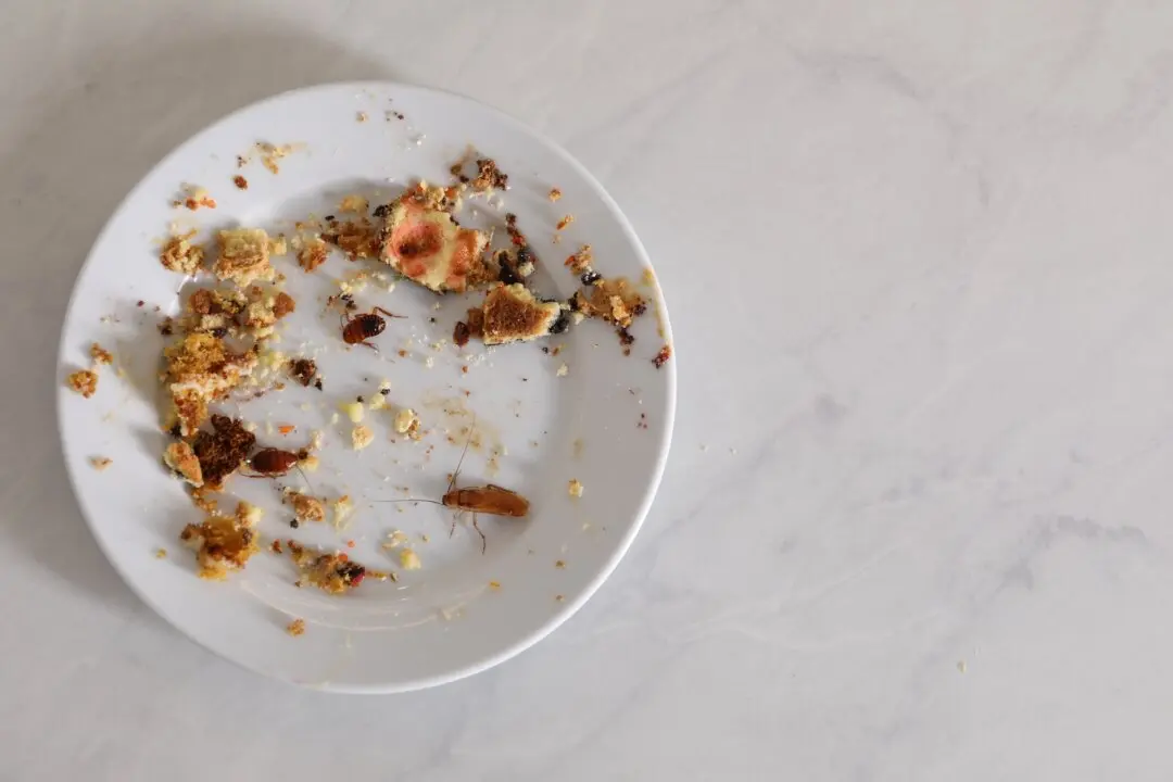 A Remarkably Effective and Safe Do-It-Yourself Option for Pest Control