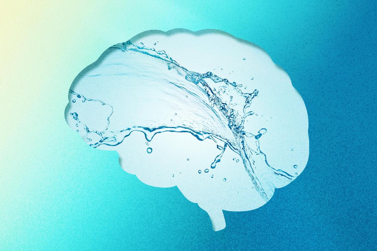 Your Brain’s Secret Defense Against Alzheimer’s