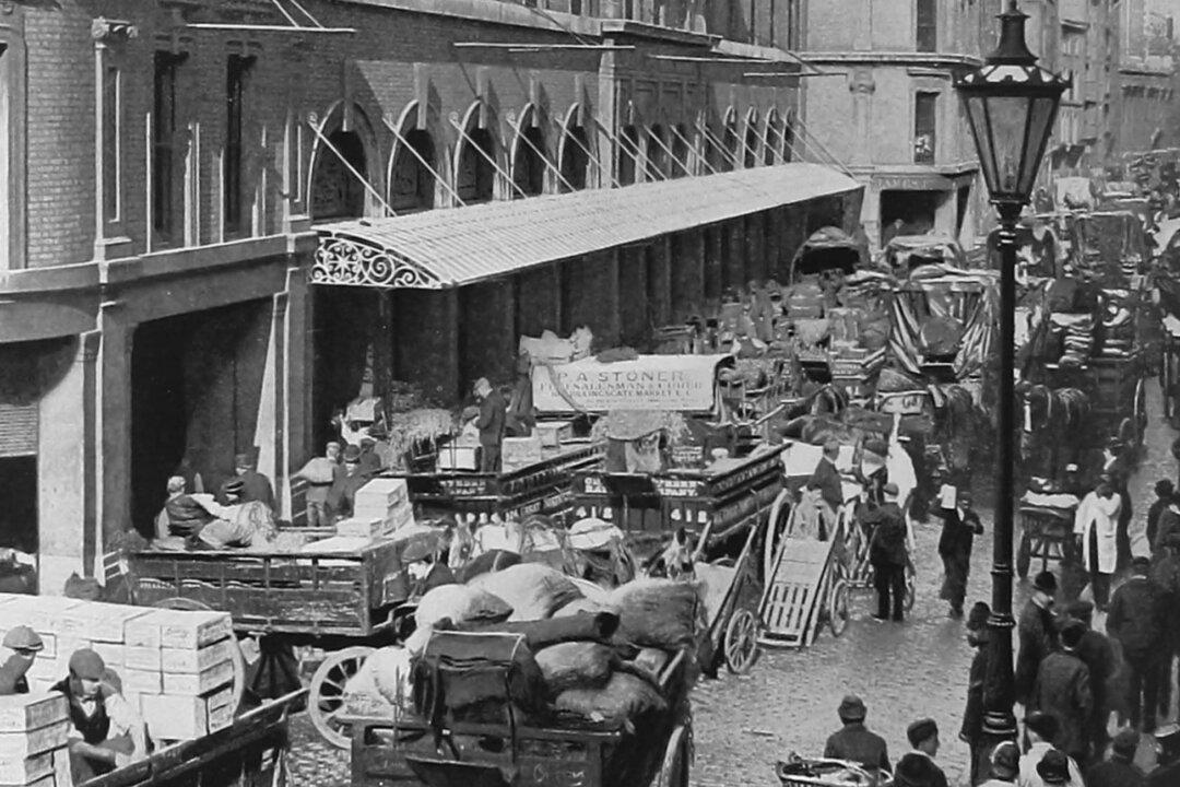 What Victorian London’s Oyster Crisis Can Teach US About Environmental Regulation