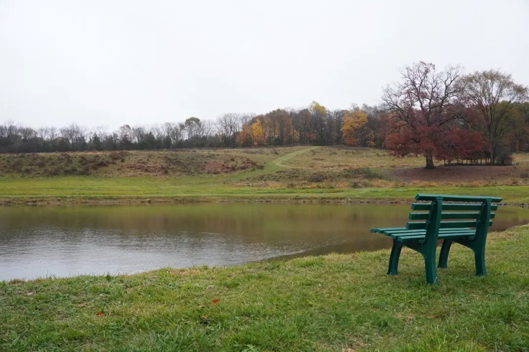 Neuhaus Announces Green Space Preservation Plans, Park Opening in OC