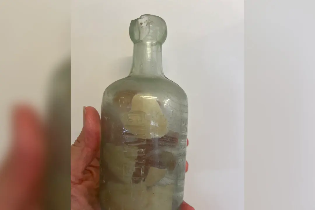 Message in a Bottle From WWI Soldier Found on Beach