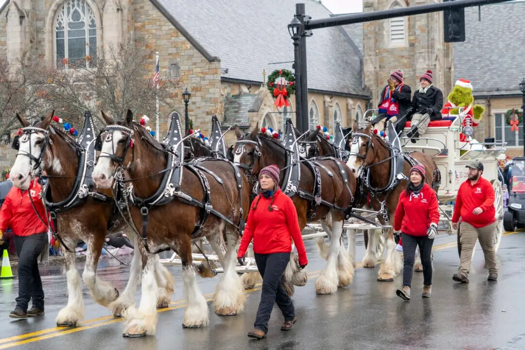 Quincy, Massachusetts, Hosts ‘City of Presidents’ Christmas Parade