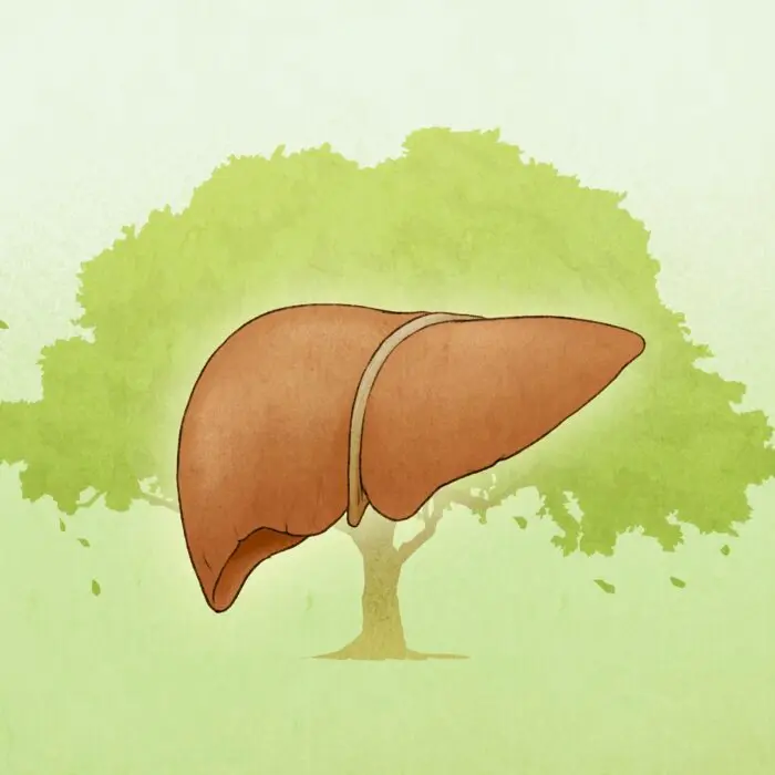 Liver Regulates the Flow of Qi‚ and How Anger Could Disrupt Its Flow