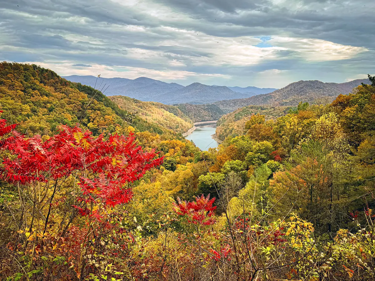 Tune in Today: Celebrating Vivaldi’s ‘Autumn’ thumbnail