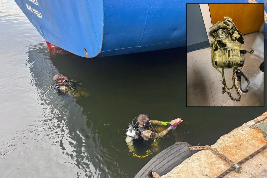 Drug Traffickers Using ‘Parasite Smuggling’ to Diversify Risk, Experts Say