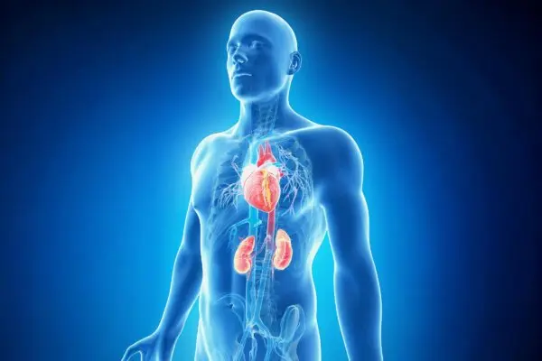 New Syndrome Affects 90 Percent of Americans–And You’ve Probably Never Heard of It