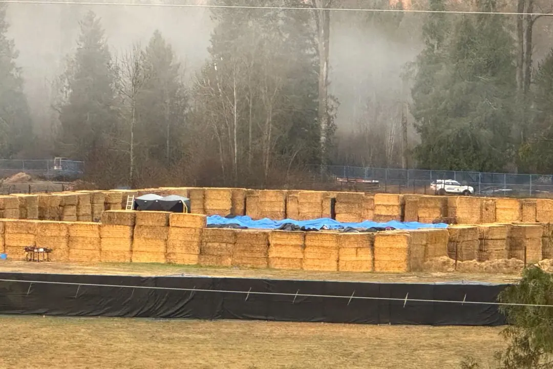 Ostriches Culled at BC Farm, CFIA Says