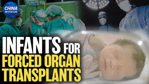 China’s Designated Infants for Organ Transplants
