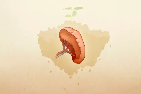 How Over Thinking Can Make You Ill