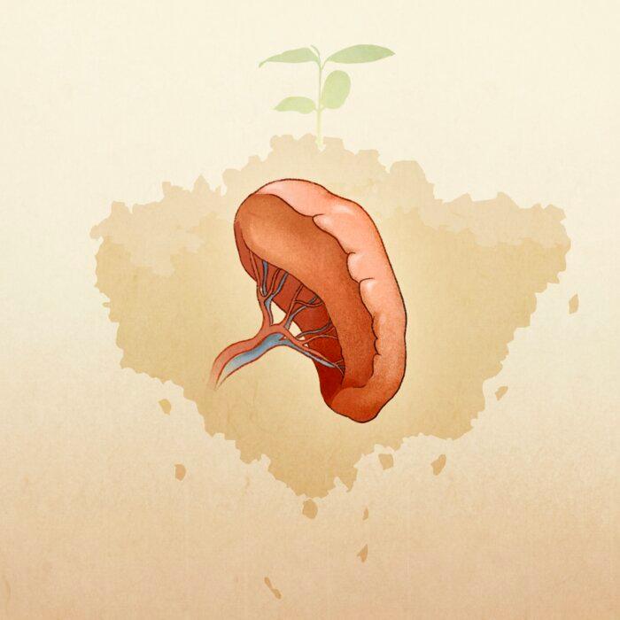 How Over Thinking Can Make You Ill